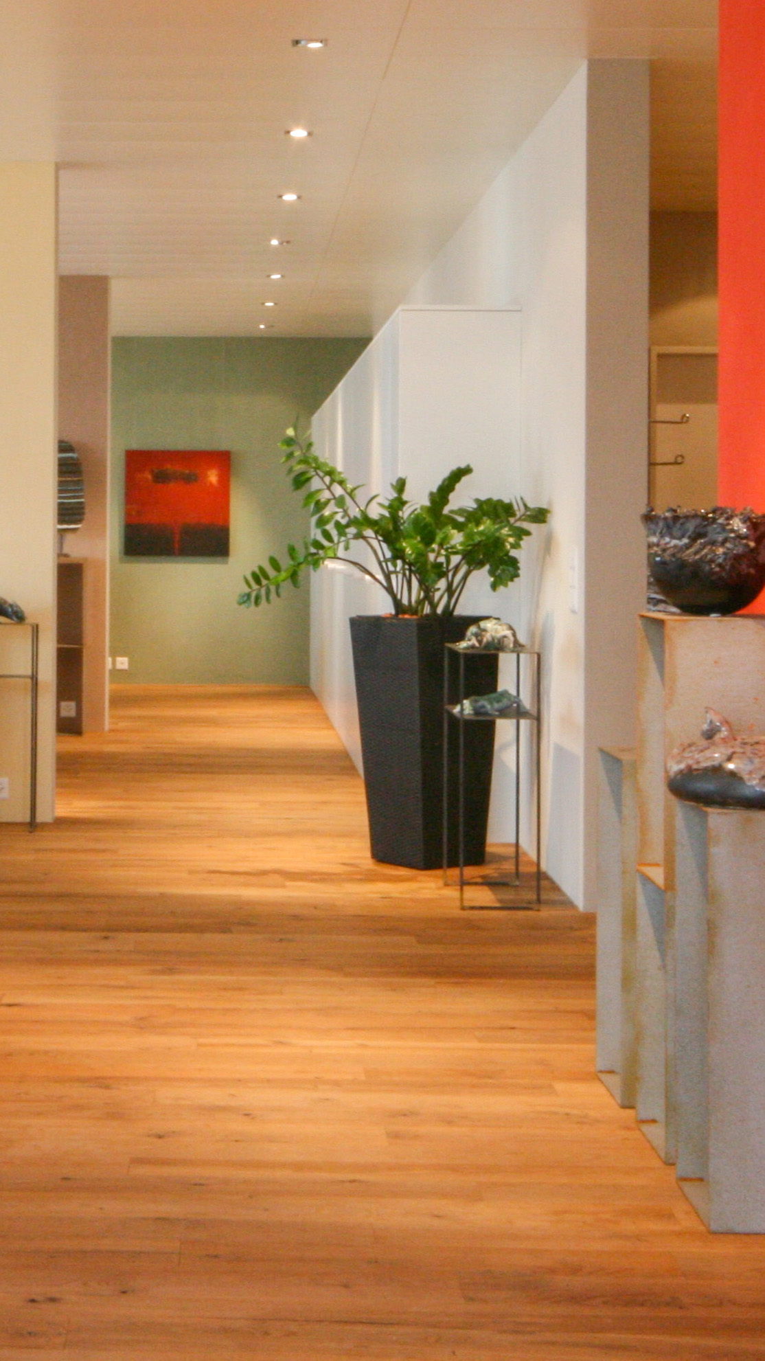 Immobilienimpression vom Zürichsee